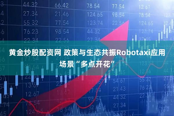 黄金炒股配资网 政策与生态共振Robotaxi应用场景“多点开花”