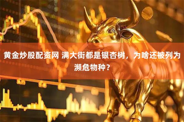 黄金炒股配资网 满大街都是银杏树，为啥还被列为濒危物种？