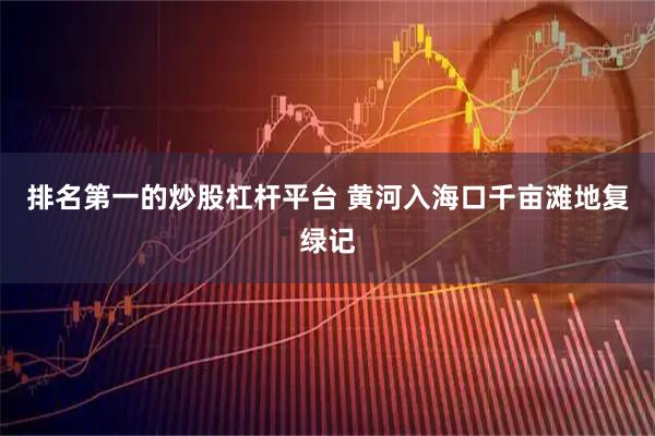 排名第一的炒股杠杆平台 黄河入海口千亩滩地复绿记