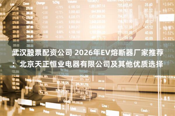 武汉股票配资公司 2026年EV熔断器厂家推荐：北京天正恒业电器有限公司及其他优质选择
